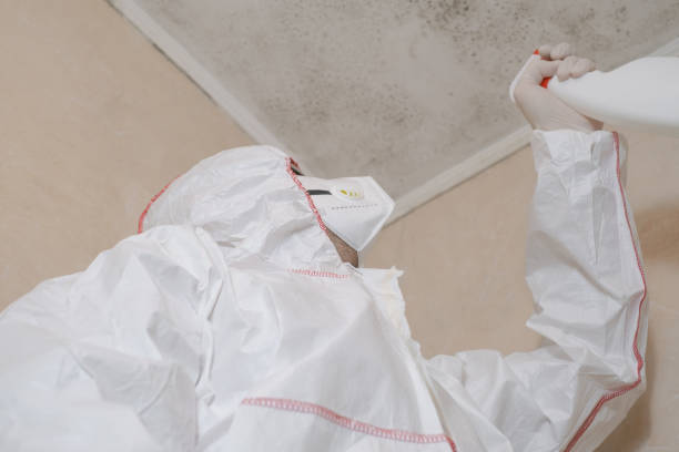 Best Mold Remediation for Specific Building Types in Spanish Lake, MO