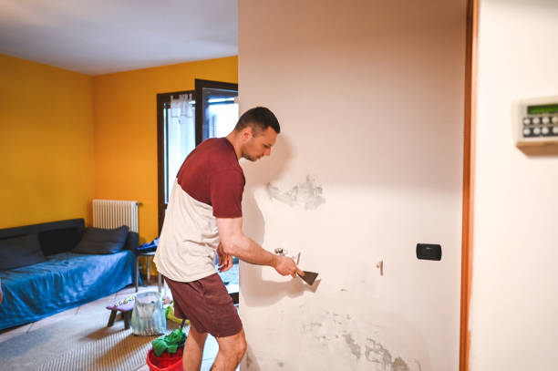 Best Crawl Space Mold Remediation in Spanish Lake, MO